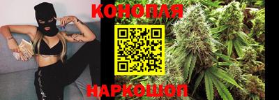 спиды Заводоуковск