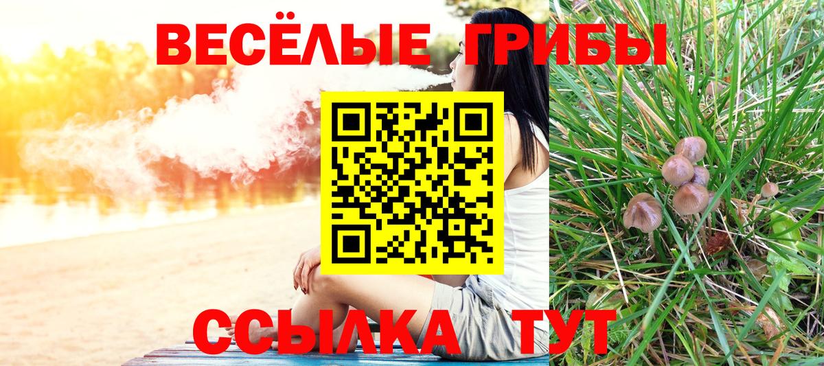 Ярцево  Галлюциногенные грибы ЛСД  Вход с VPN 